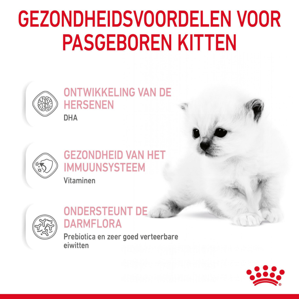 Royal Canin Babycat Milk Kittenmelk