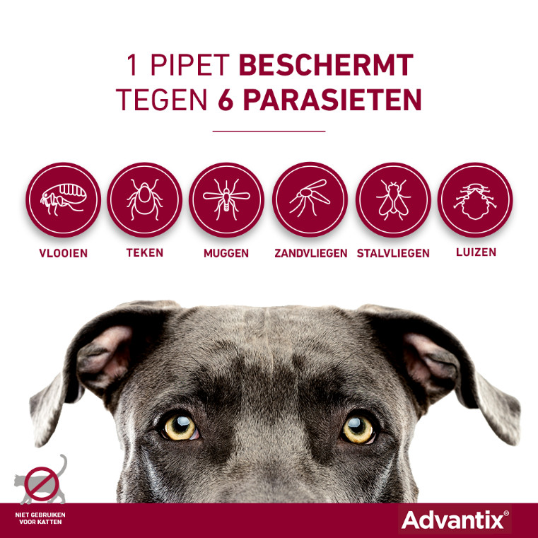 Advantix 600/3000 voor honden van 40 tot 60 kg