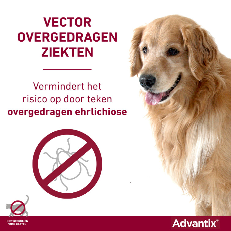 Advantix 600/3000 voor honden van 40 tot 60 kg