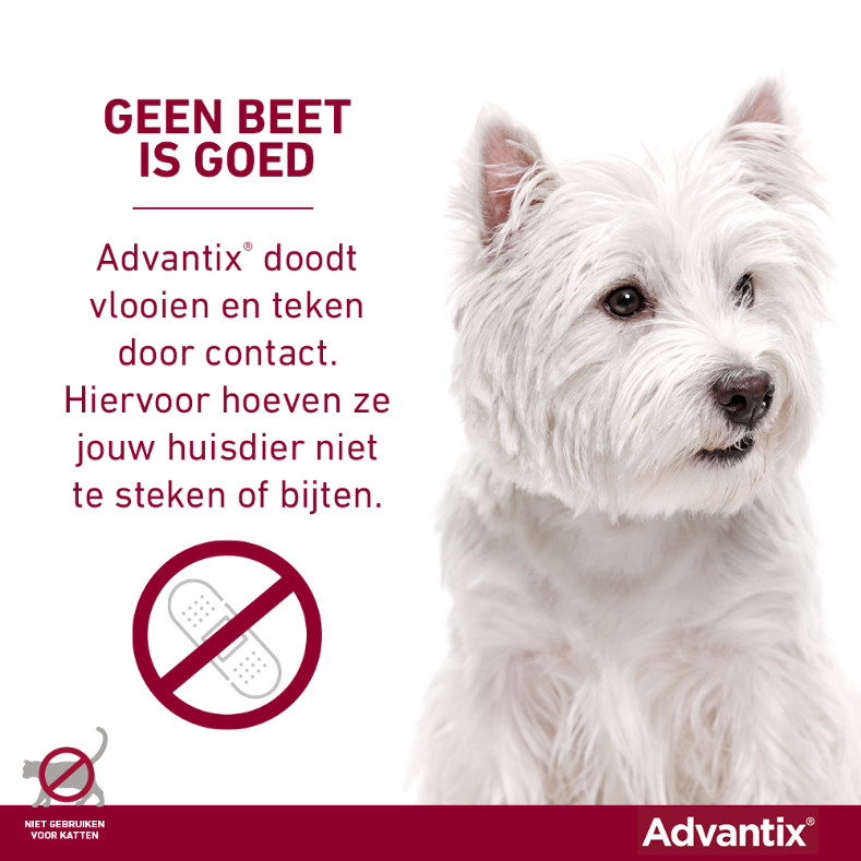 Advantix 600/3000 voor honden van 40 tot 60 kg