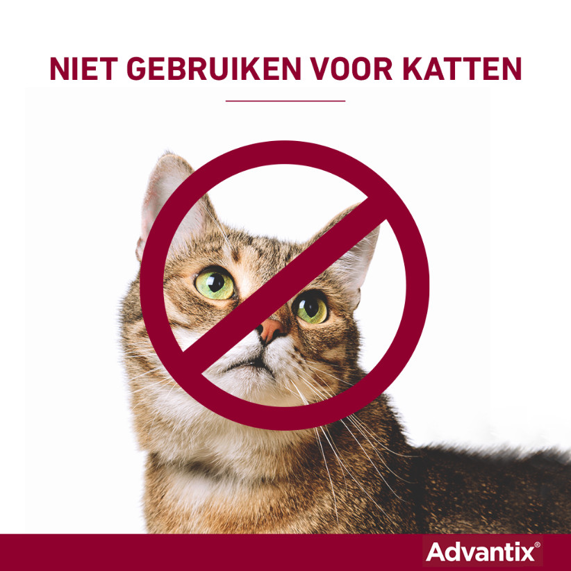 Advantix 600/3000 voor honden van 40 tot 60 kg