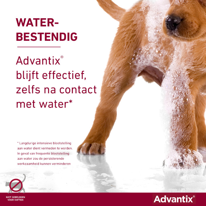 Advantix 600/3000 voor honden van 40 tot 60 kg