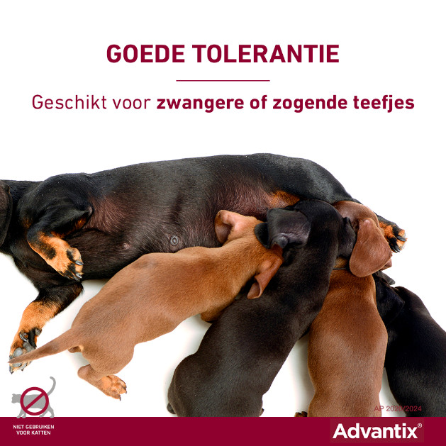 Advantix 600/3000 voor honden van 40 tot 60 kg