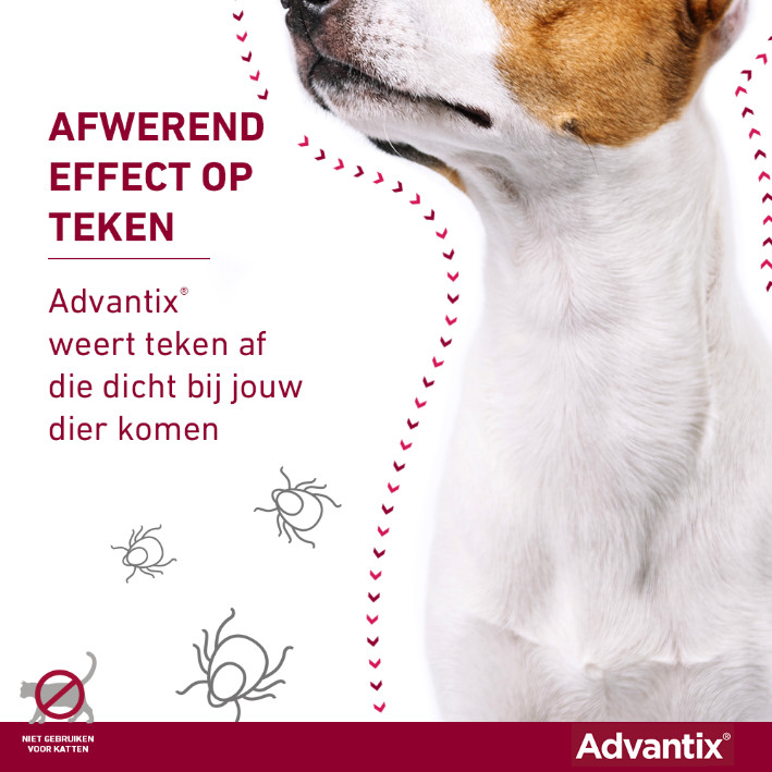 Advantix 600/3000 voor honden van 40 tot 60 kg