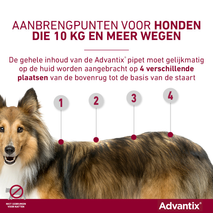 Advantix 600/3000 voor honden van 40 tot 60 kg