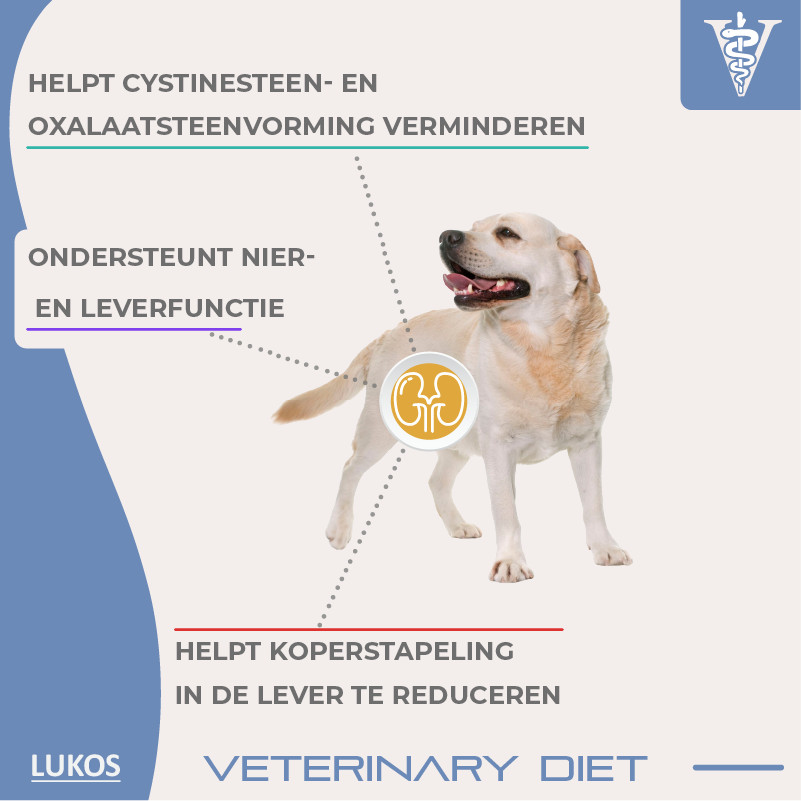 Lukos Veterinary Diet Renal hondenvoer