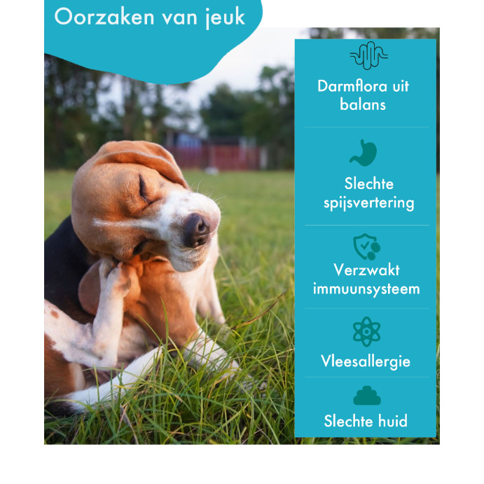 FestyBites Anti-jeuk Vleesvrij probiotica / supplement hond