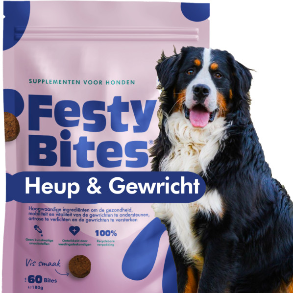 FestyBites Heup & Gewricht supplement hond