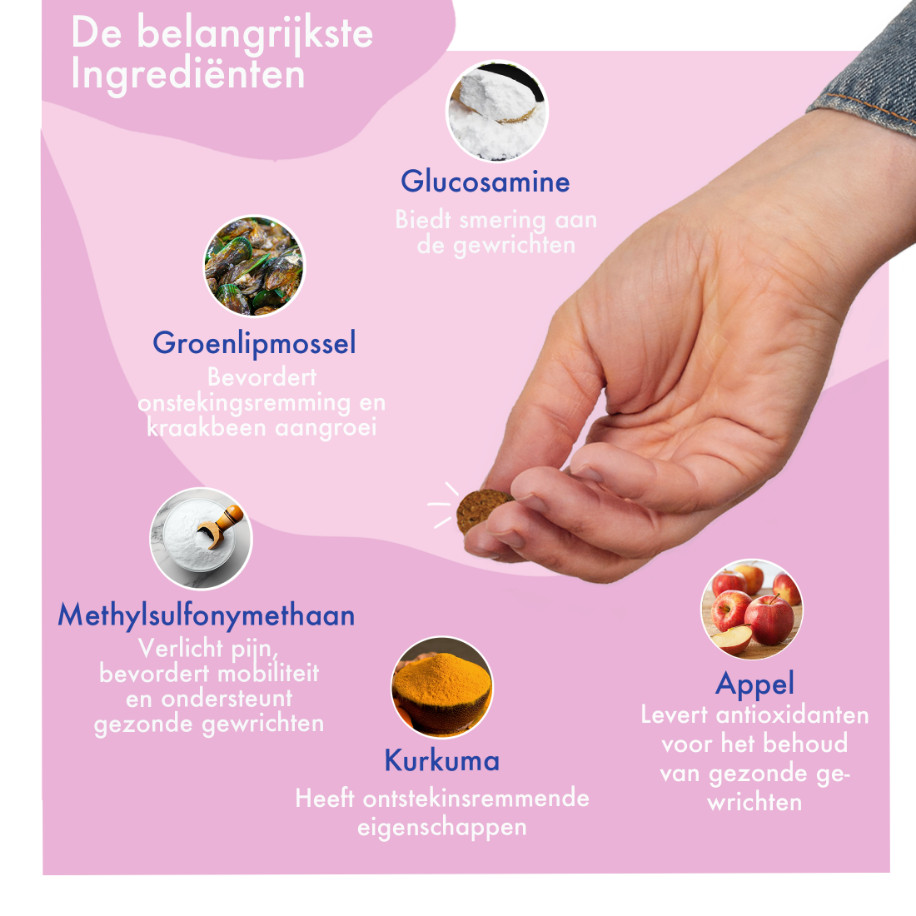 FestyBites Heup & Gewricht supplement hond