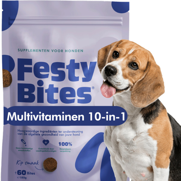 FestyBites Multivitaminen 10-in-1 supplement hond