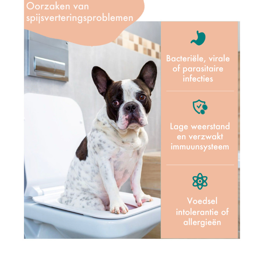 FestyBites Probiotica met kip supplement hond