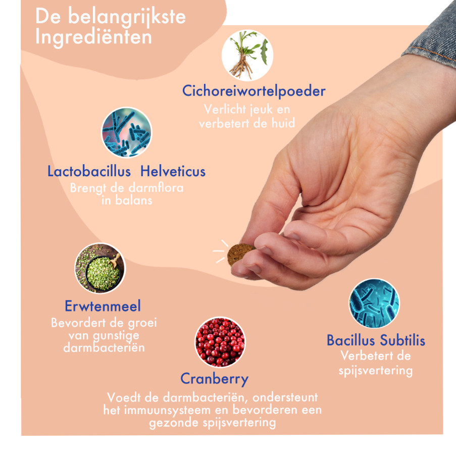 FestyBites Probiotica met kip supplement hond