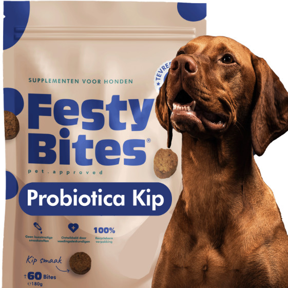 FestyBites Probiotica met kip supplement hond