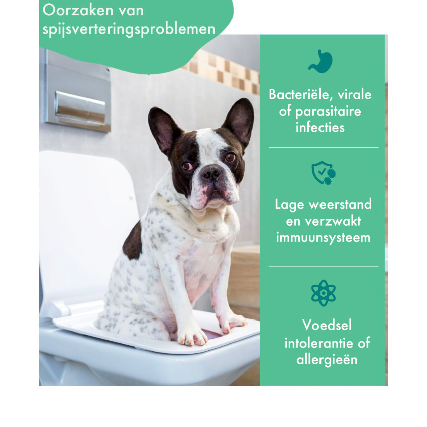 FestyBites Probiotica Vleesvrij supplement hond