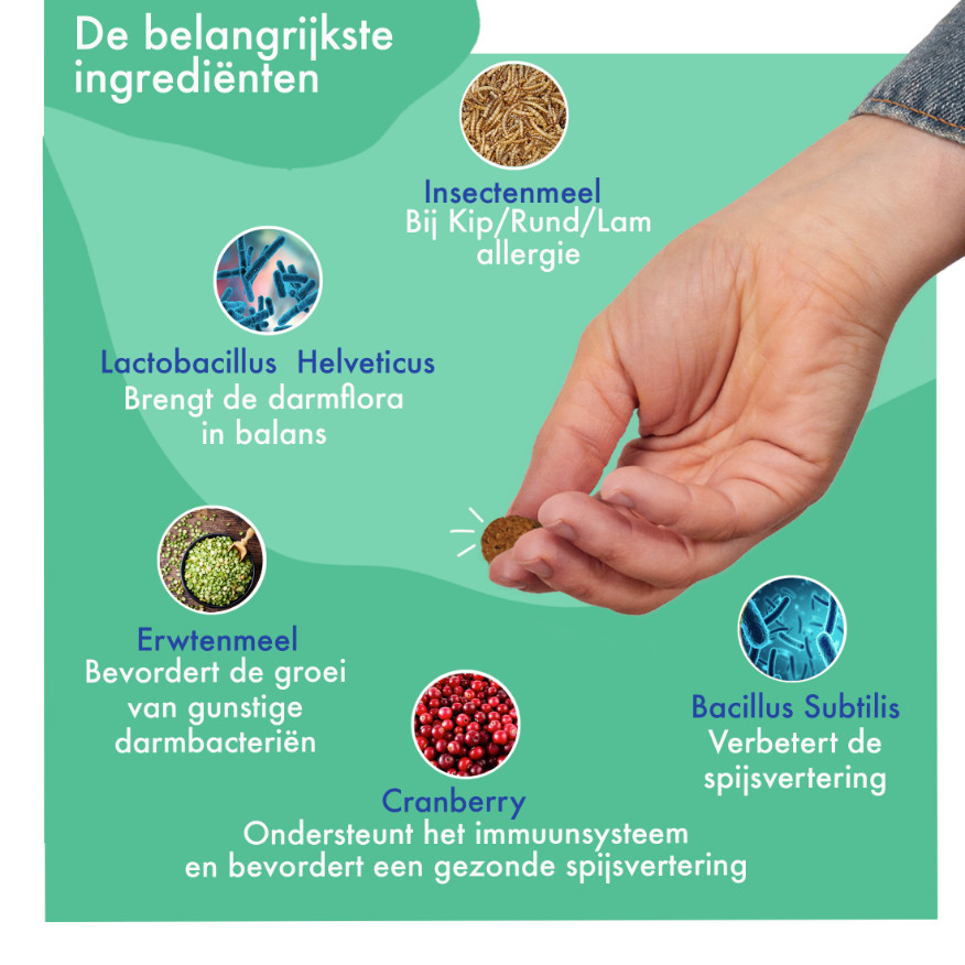 FestyBites Probiotica Vleesvrij supplement hond