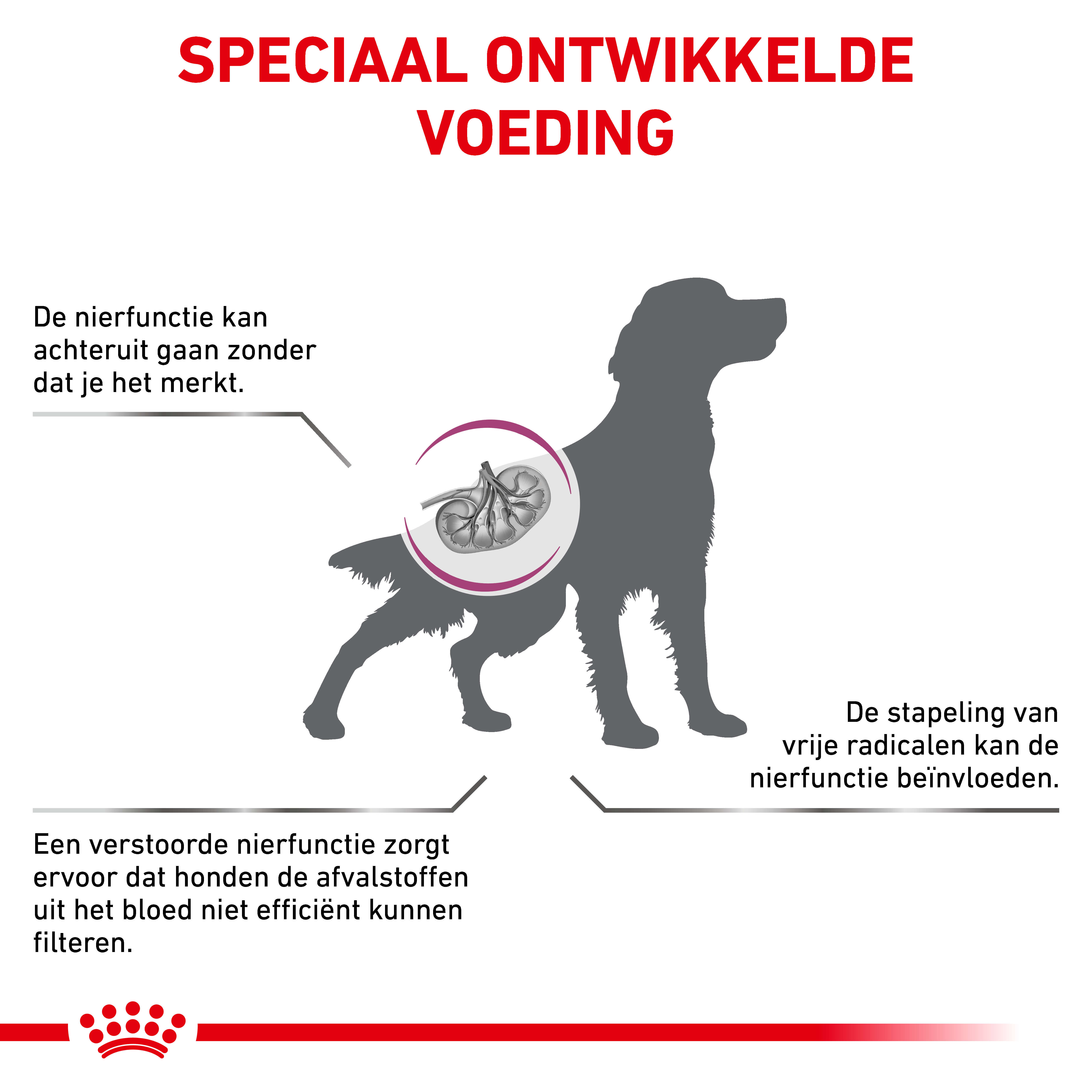 Royal Canin Veterinary Diet Early Renal hondenvoer