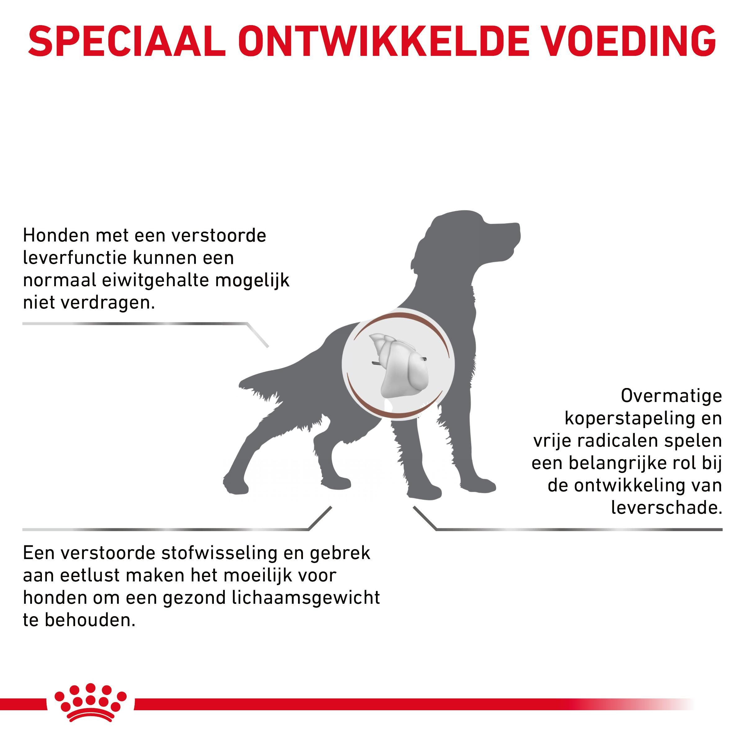 Royal Canin Veterinary Hepatic hondenvoer