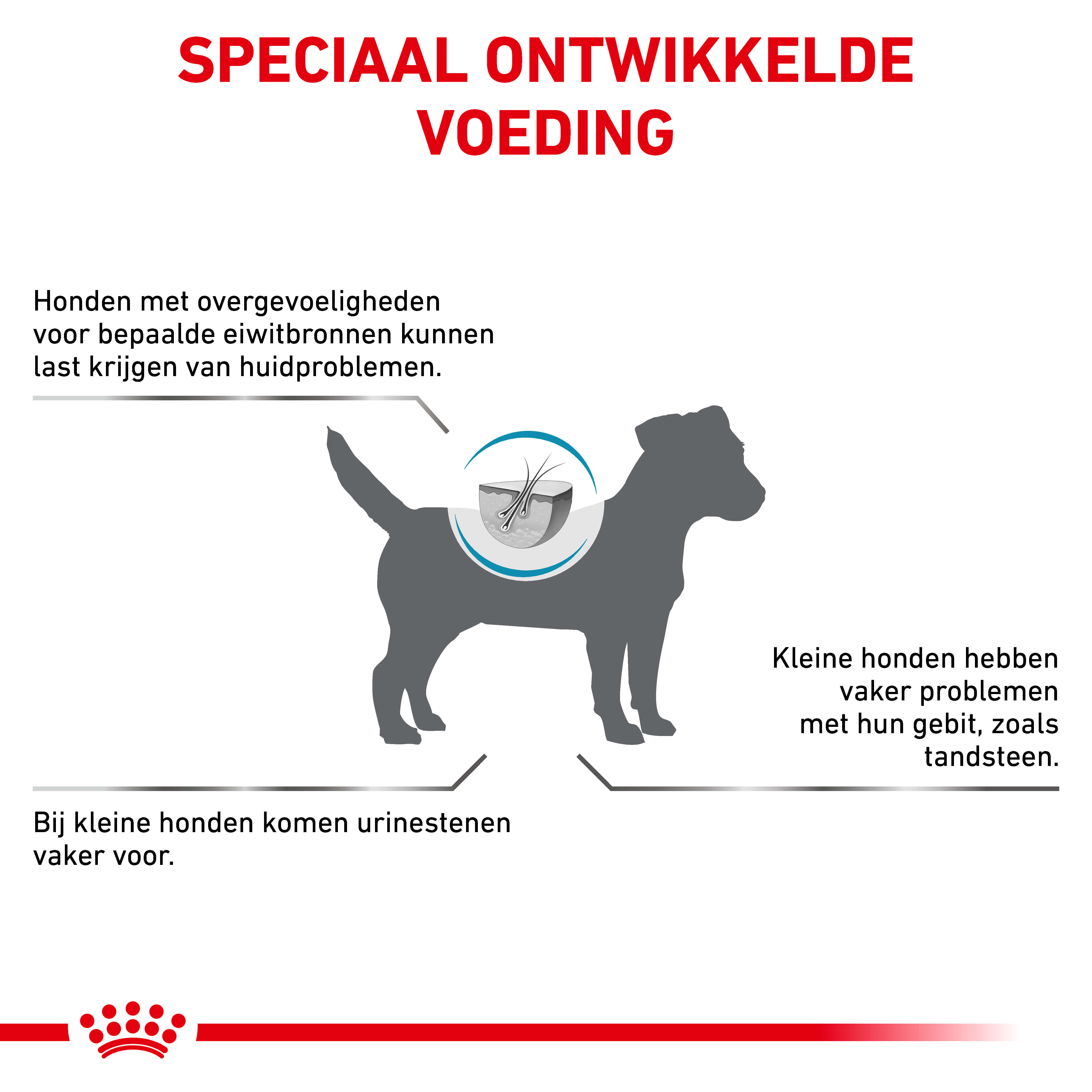 Royal Canin Veterinary Hypoallergenic Small Dogs hondenvoer