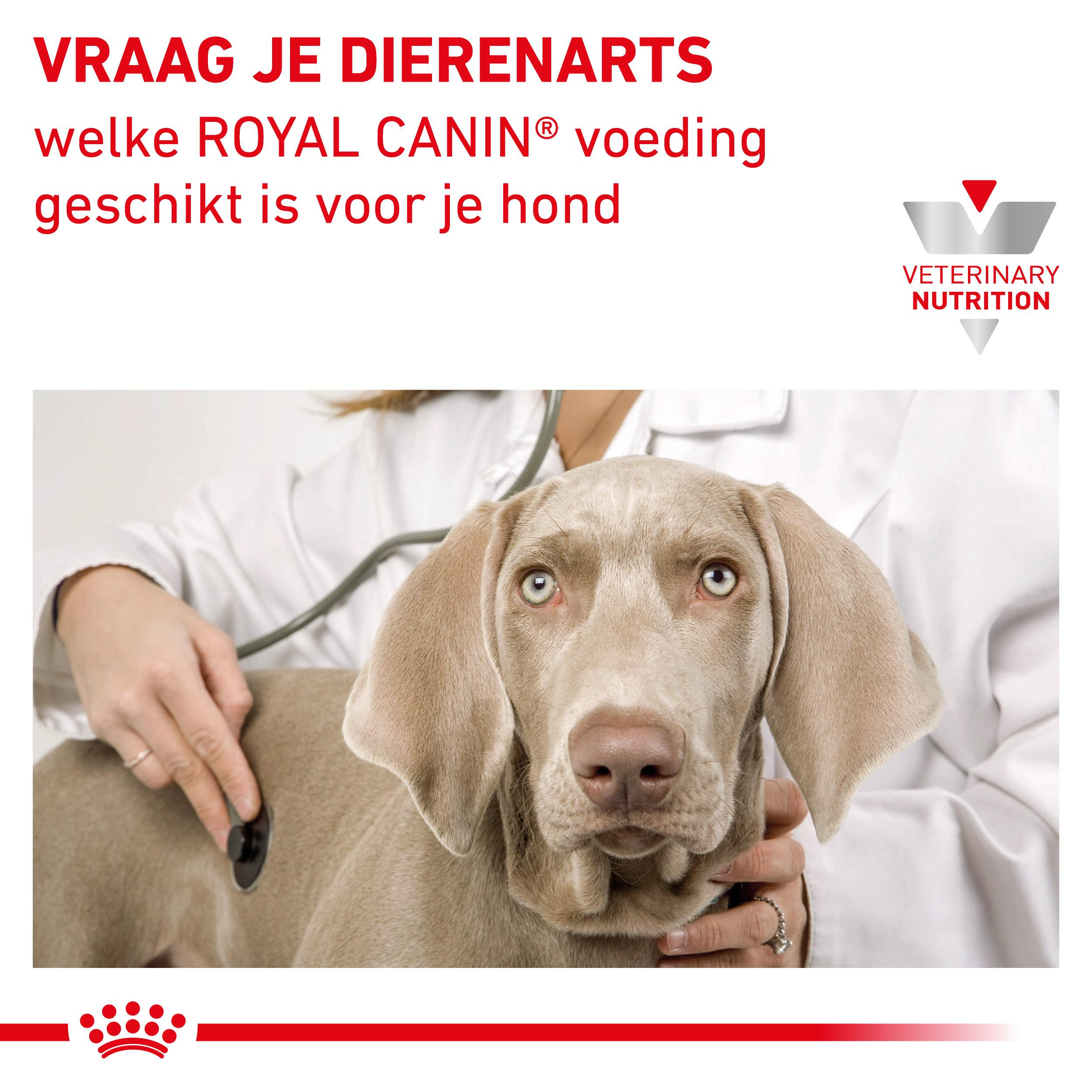 Royal Canin Veterinary Mobility Support hondenvoer