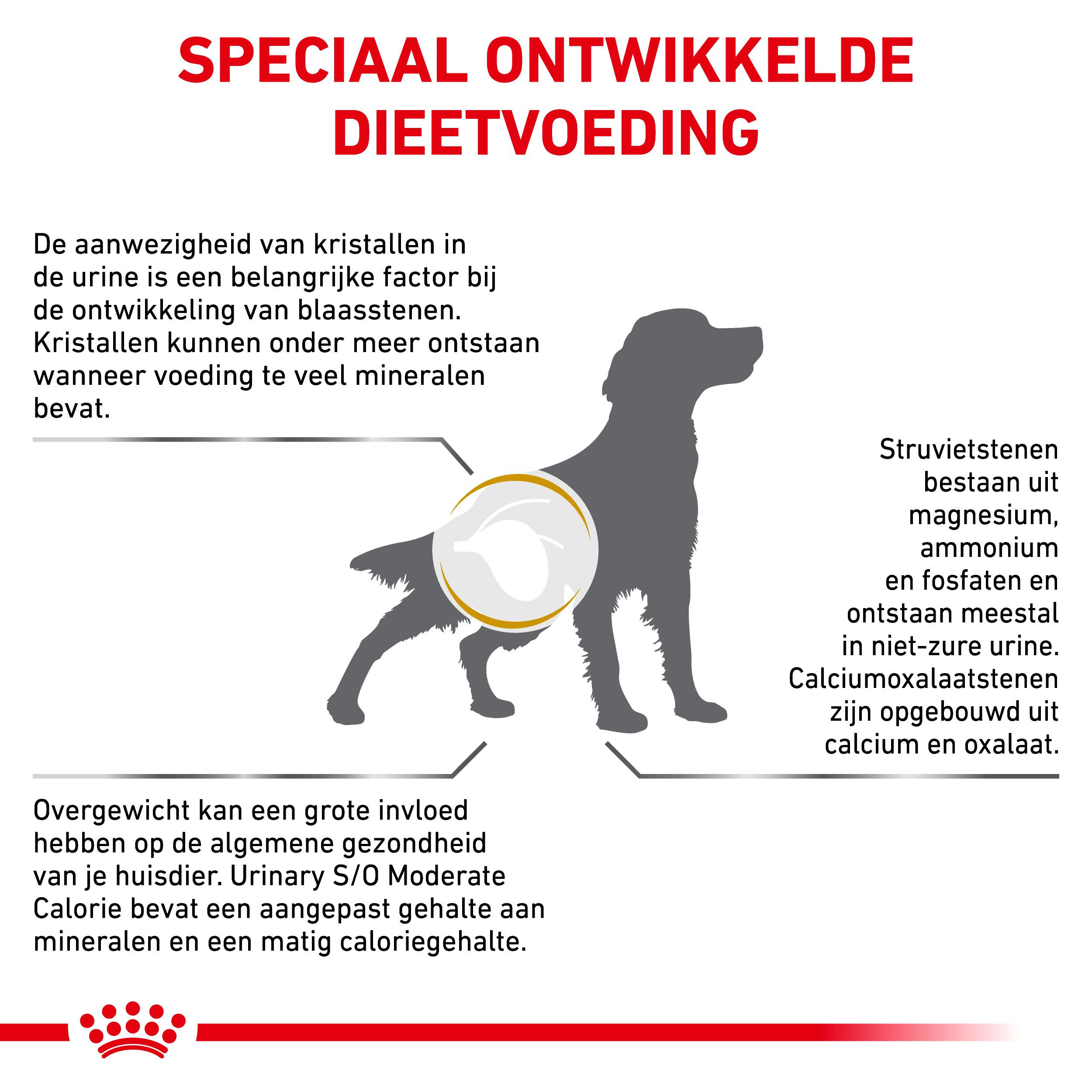 Royal Canin Urinary S/O Moderate Calorie hondenvoer