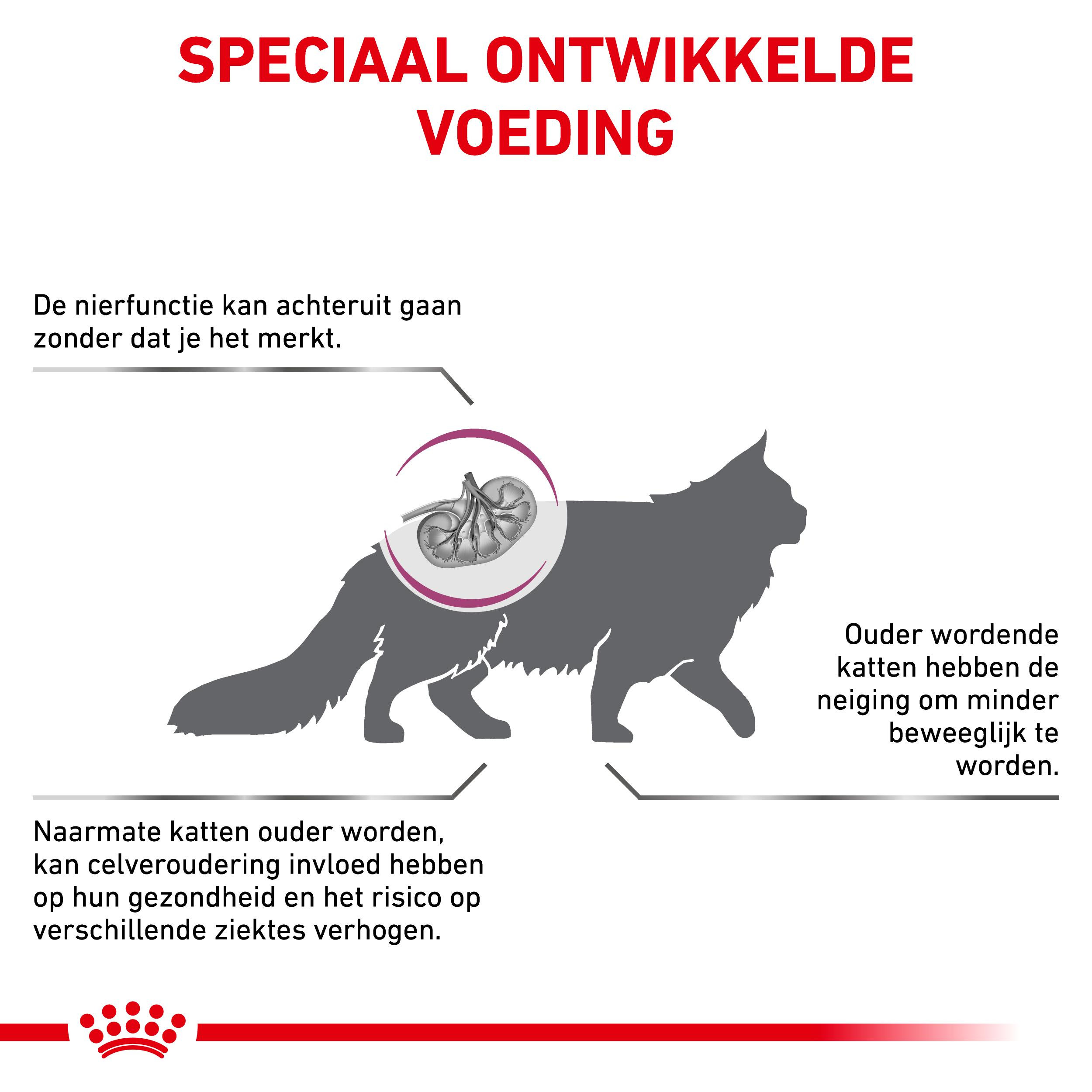 Royal Canin Veterinary Diet Early Renal kattenvoer