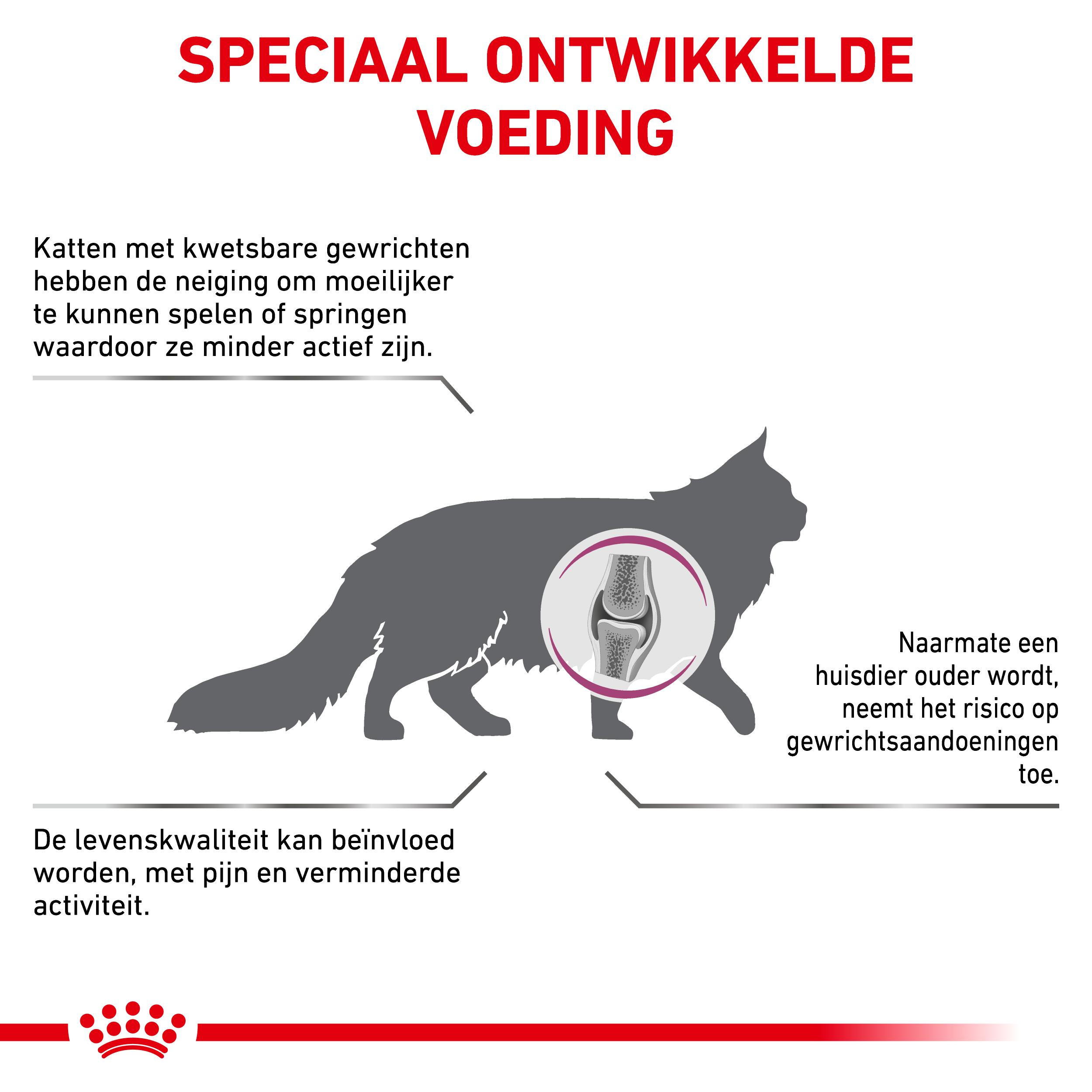 Royal Canin Veterinary Mobility kattenvoer