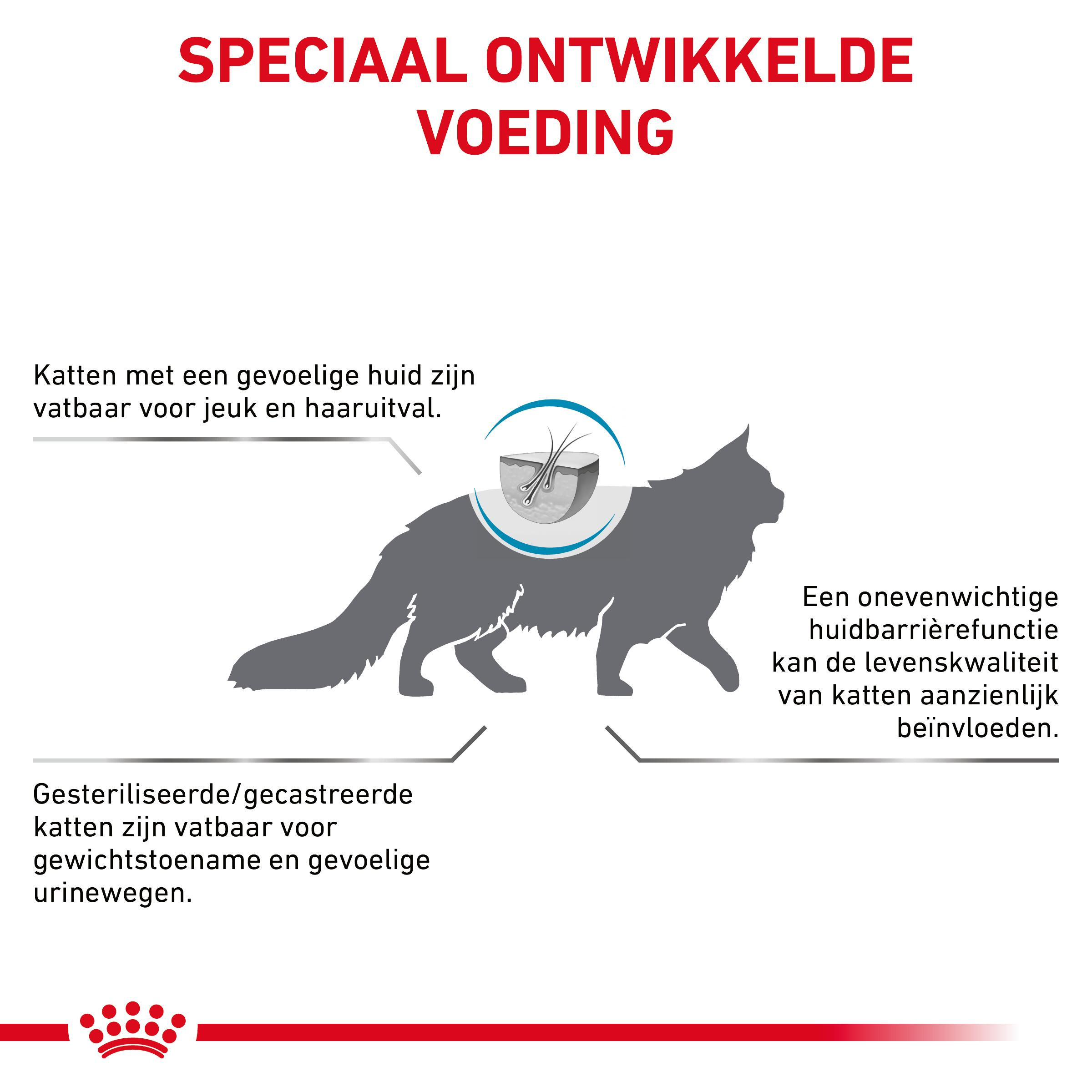 Royal Canin Skin & Coat kattenvoer