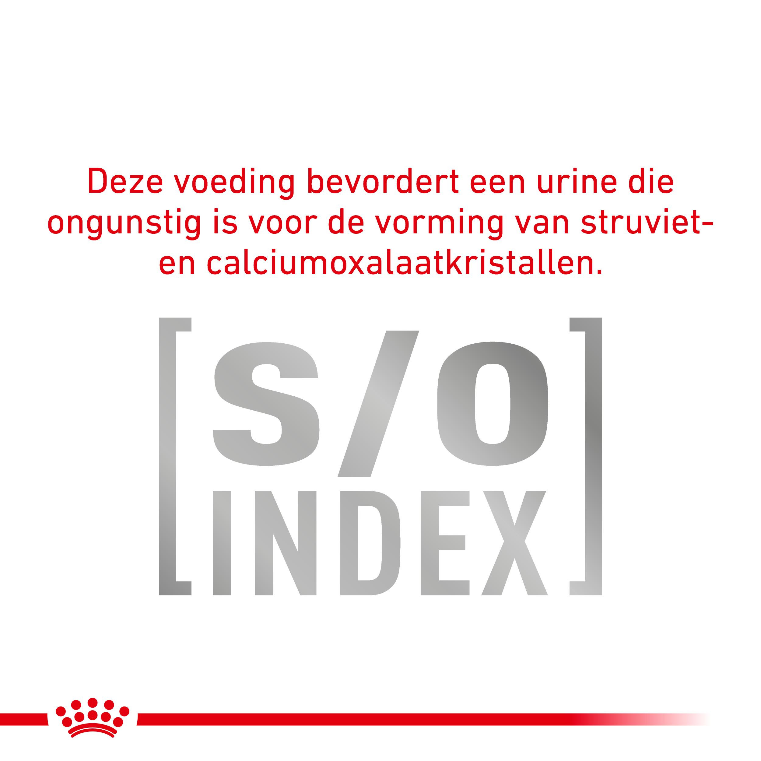 Royal Canin Veterinary Diabetic Special natvoer hond