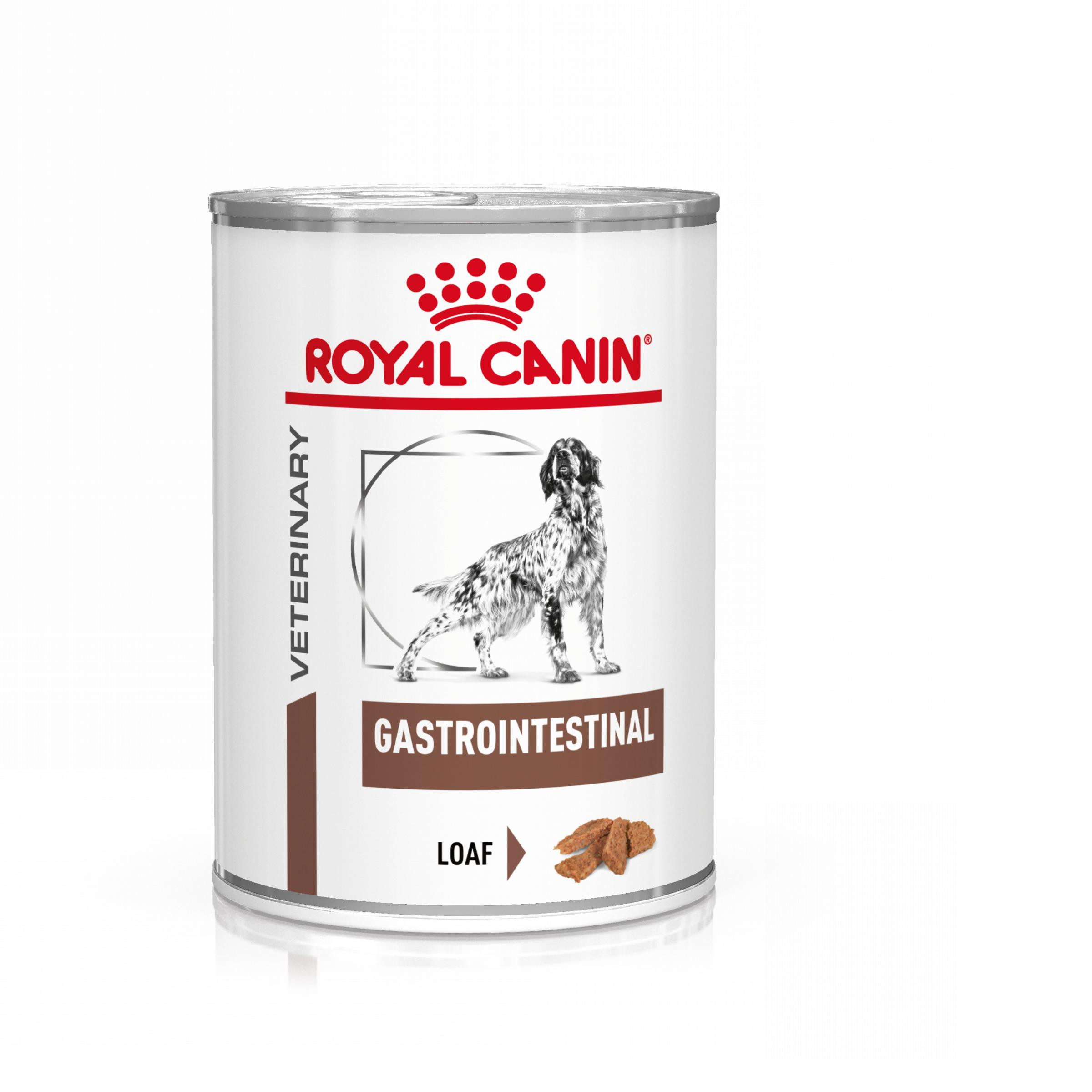 Royal Canin Veterinary Gastrointestinal natvoer hond