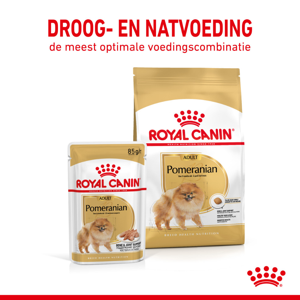 Royal Canin Adult Pomeranian natvoer (85 g)