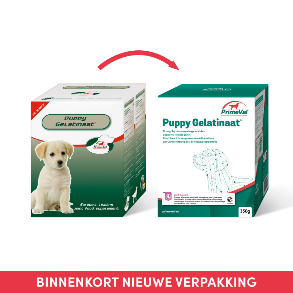 Primeval Puppy Gelatinaat voor de hond