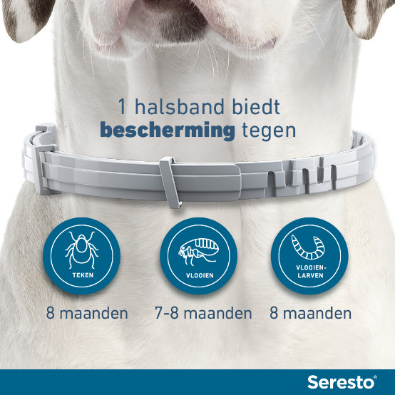 Seresto halsband kleine hond (tot 8 kg)