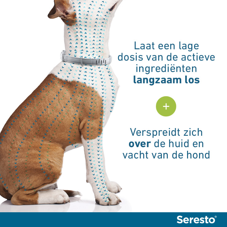 Seresto halsband kleine hond (tot 8 kg)