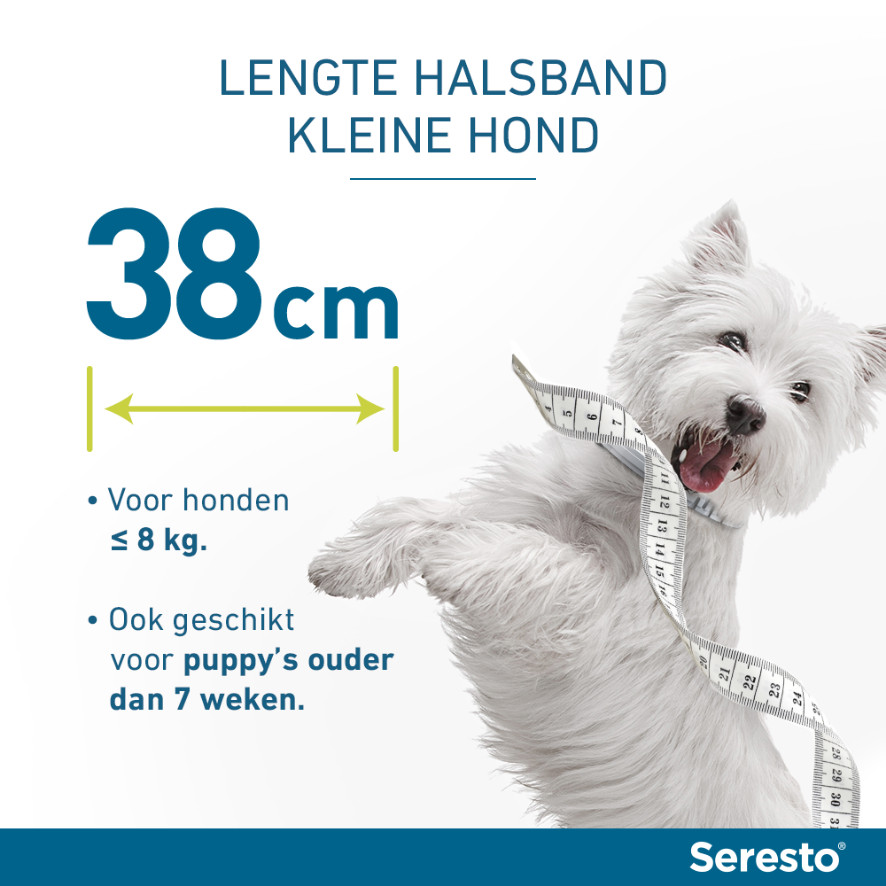 Seresto halsband kleine hond (tot 8 kg)