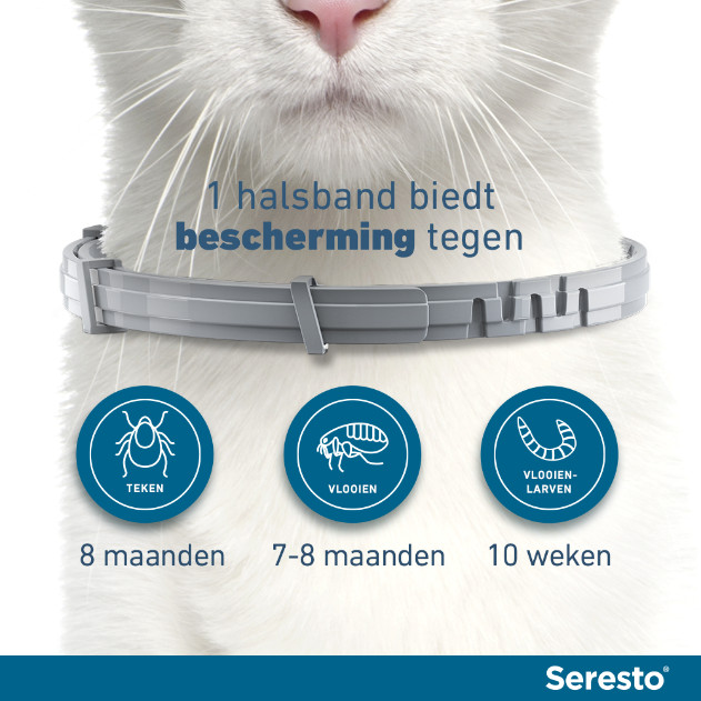 Seresto halsband voor de kat