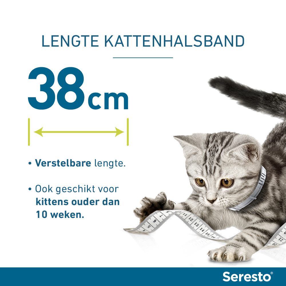 Seresto halsband voor de kat