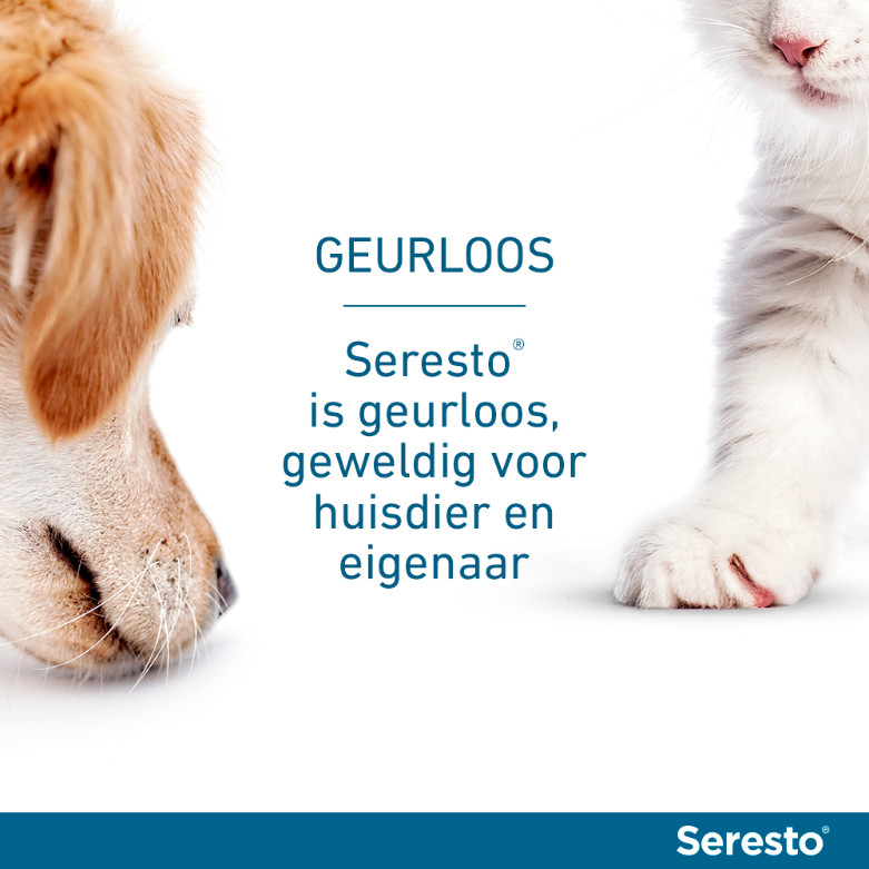 Seresto Halsband voor grote honden