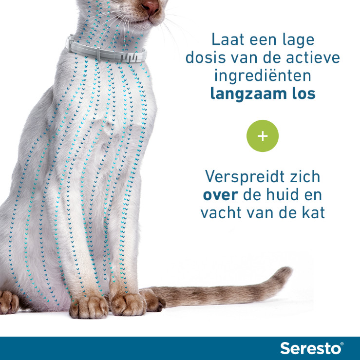 Seresto halsband voor de kat