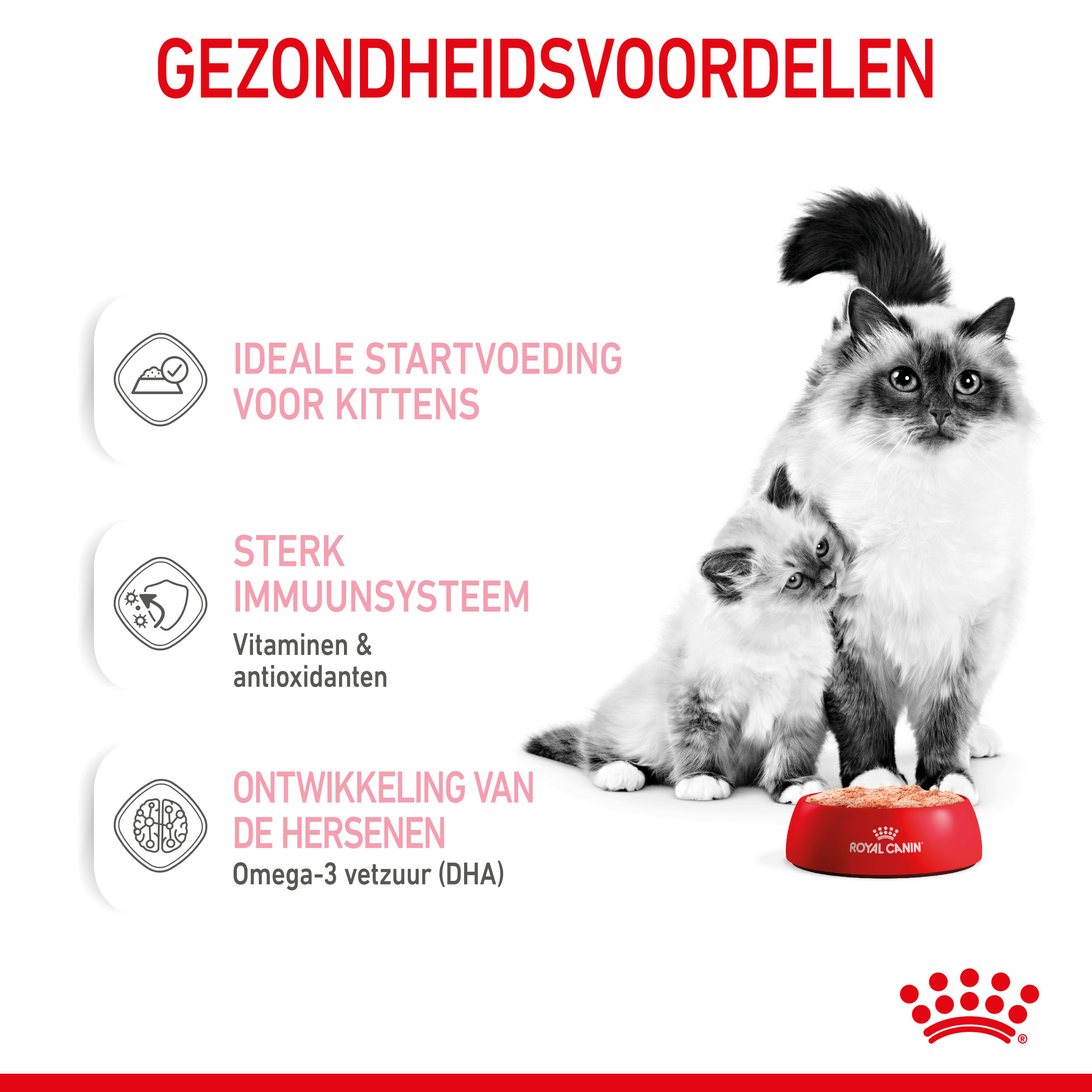 Royal Canin Mother & Babycat Mousse kattenvoer