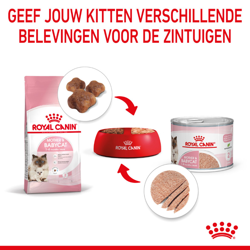 Royal Canin Mother & Babycat Mousse kattenvoer