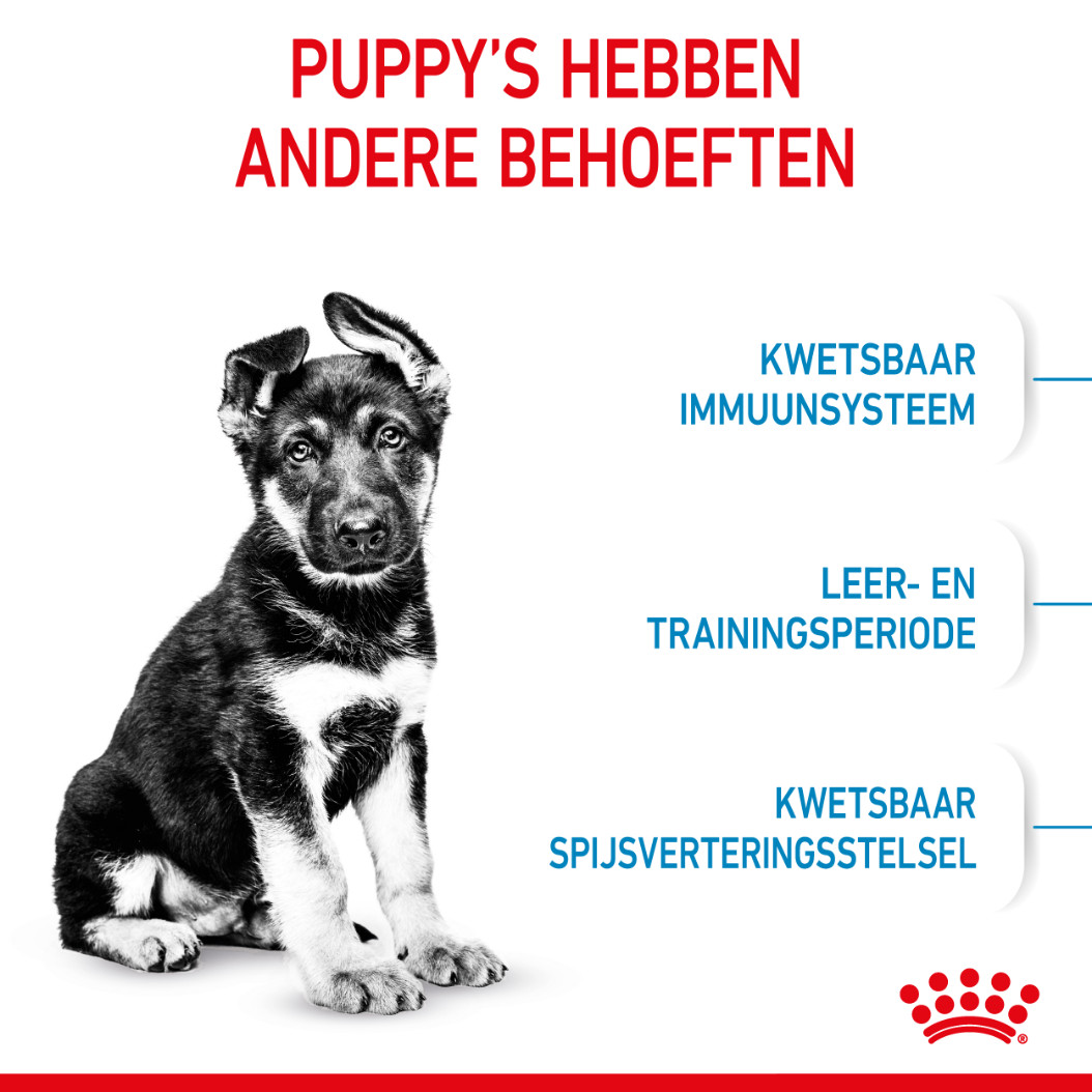 Royal Canin Maxi Puppy hondenvoer