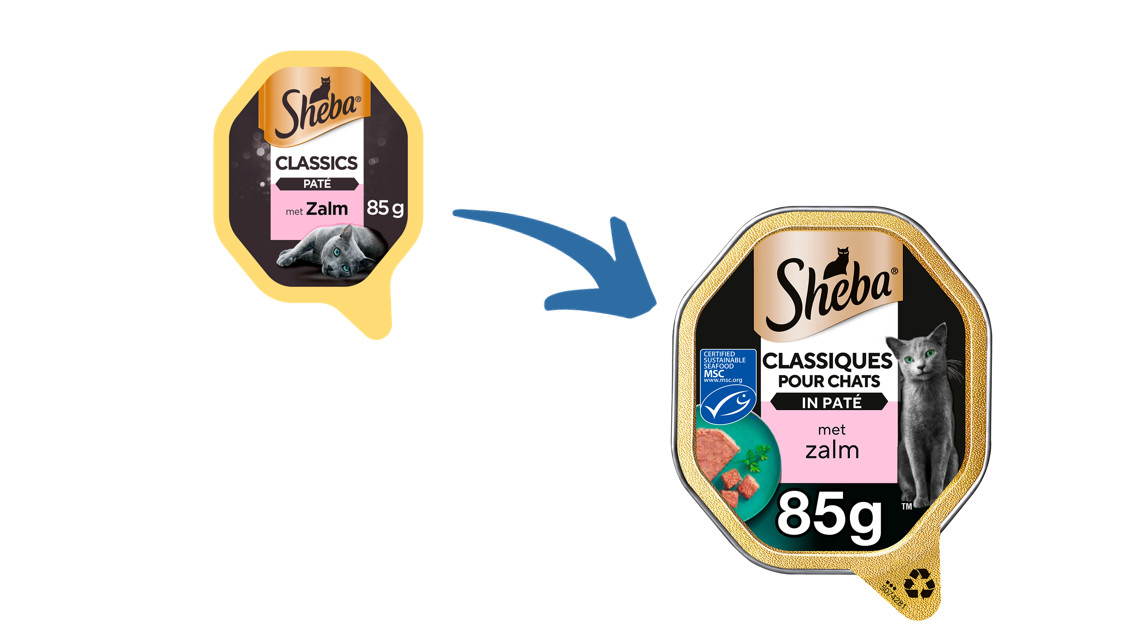 Sheba Classics paté met zalm natvoer kat (kuipjes 85 g)