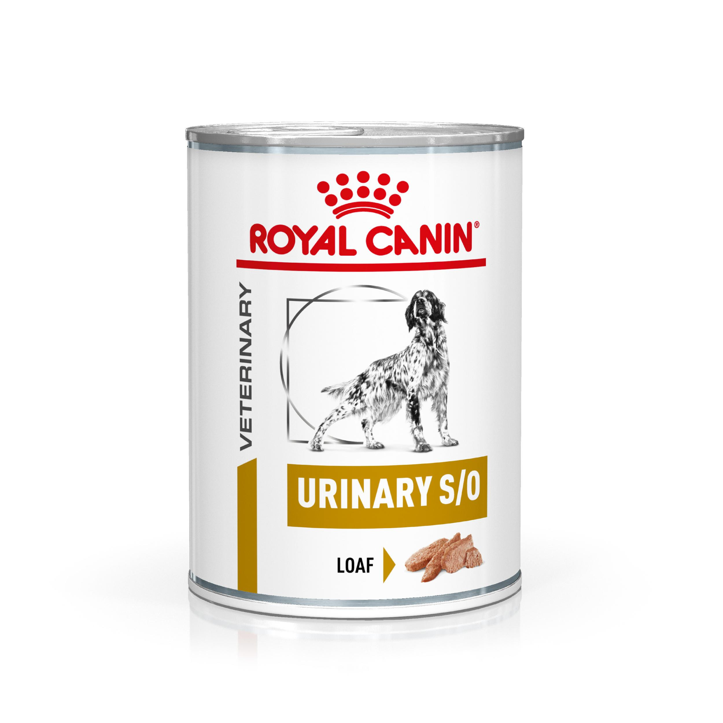 Royal Canin Veterinary Urinary S/O Loaf natvoer hond