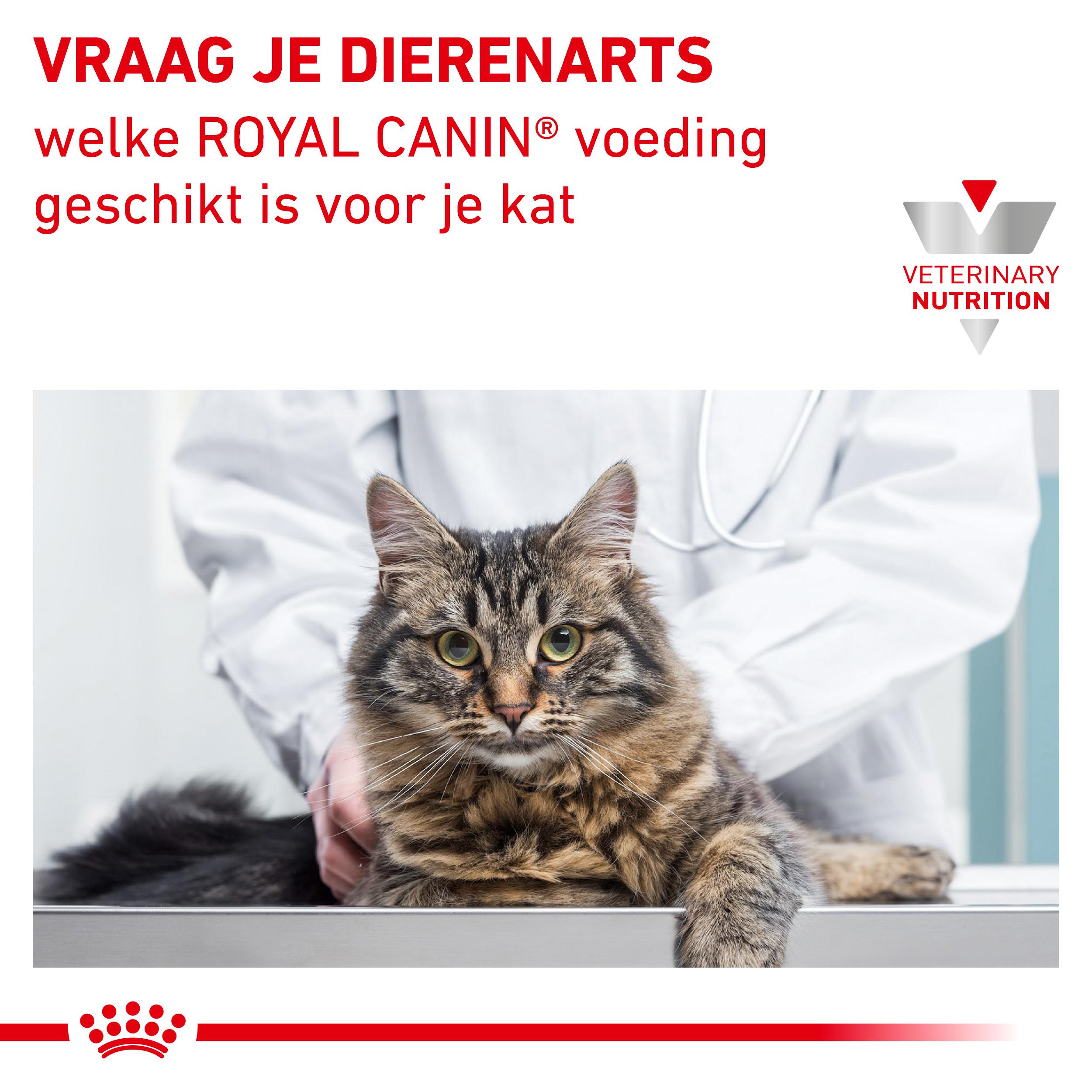 Royal Canin Veterinary Diet Diabetic zakjes 85 gram kattenvoer