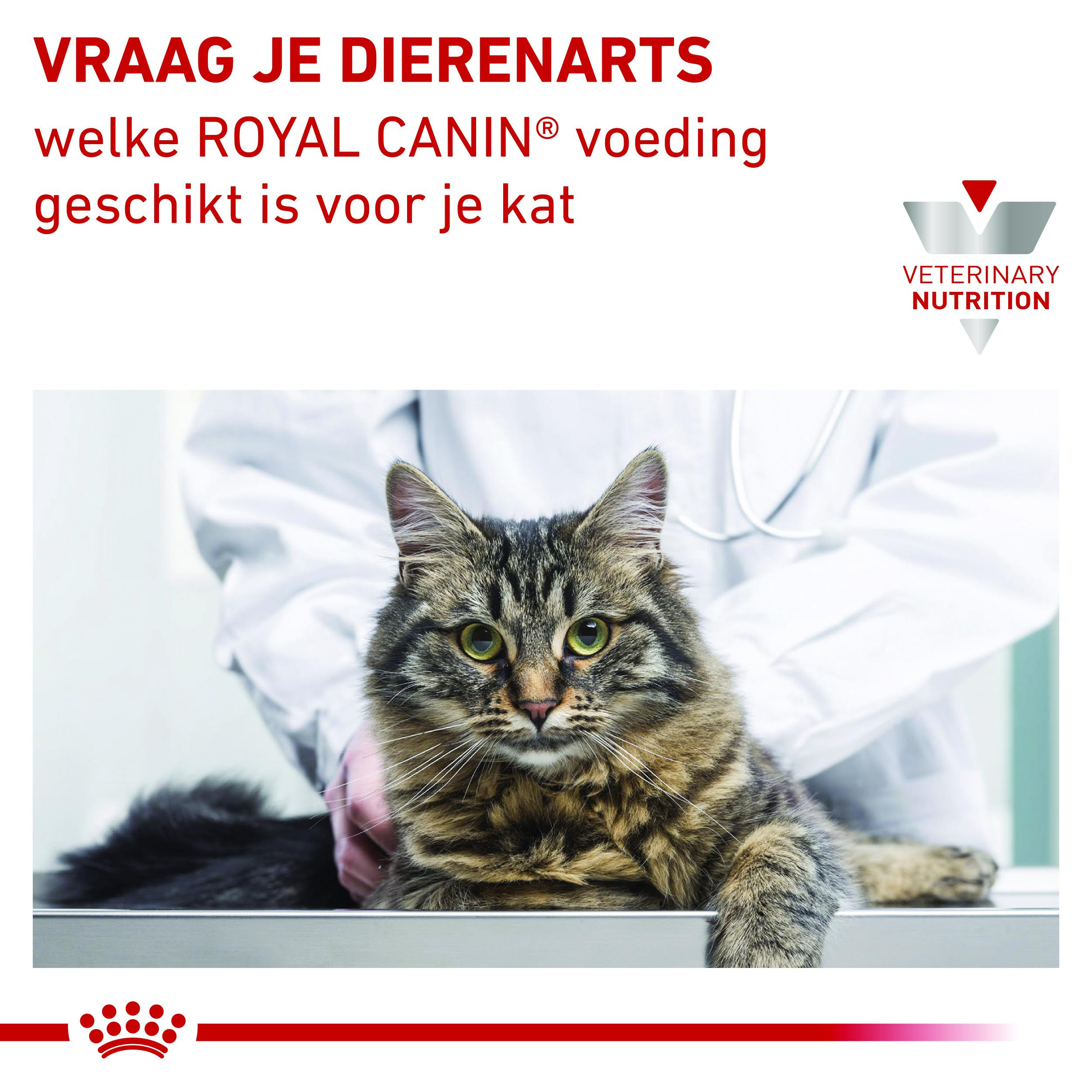 Royal Canin Veterinary Diet Early Renal zakjes kattenvoer