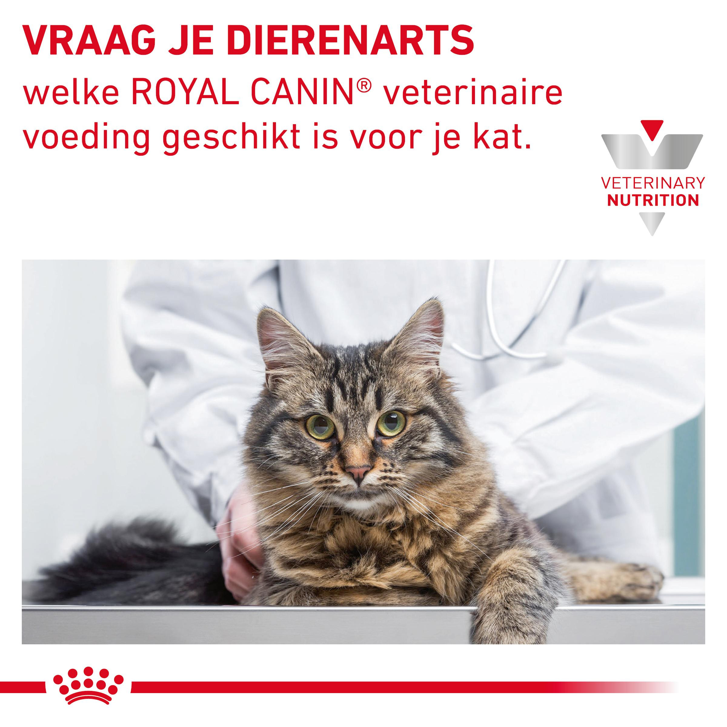 Royal Canin Veterinary Gastro Moderate Calorie zakjes kattenvoer 85 gram