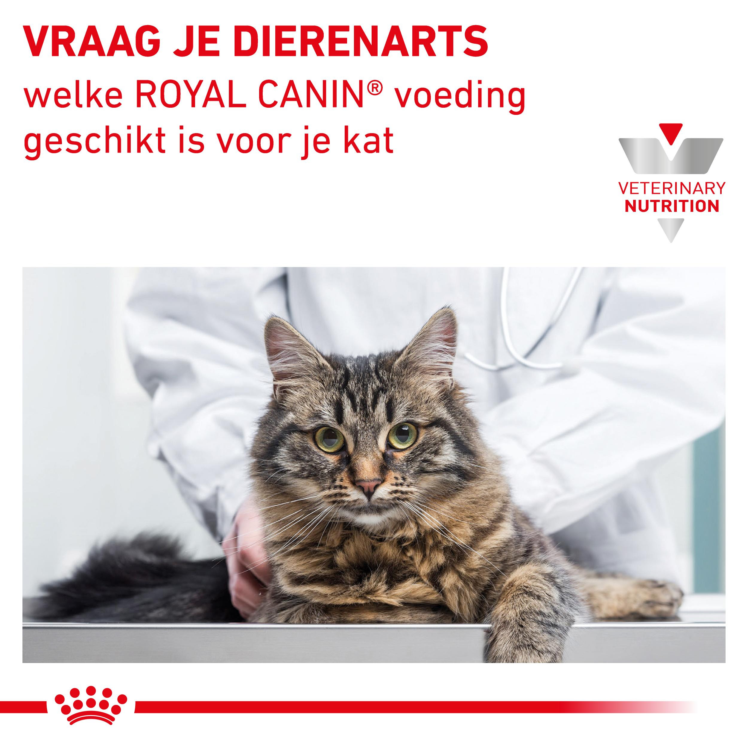 Royal Canin Veterinary Renal met kip natvoer kat