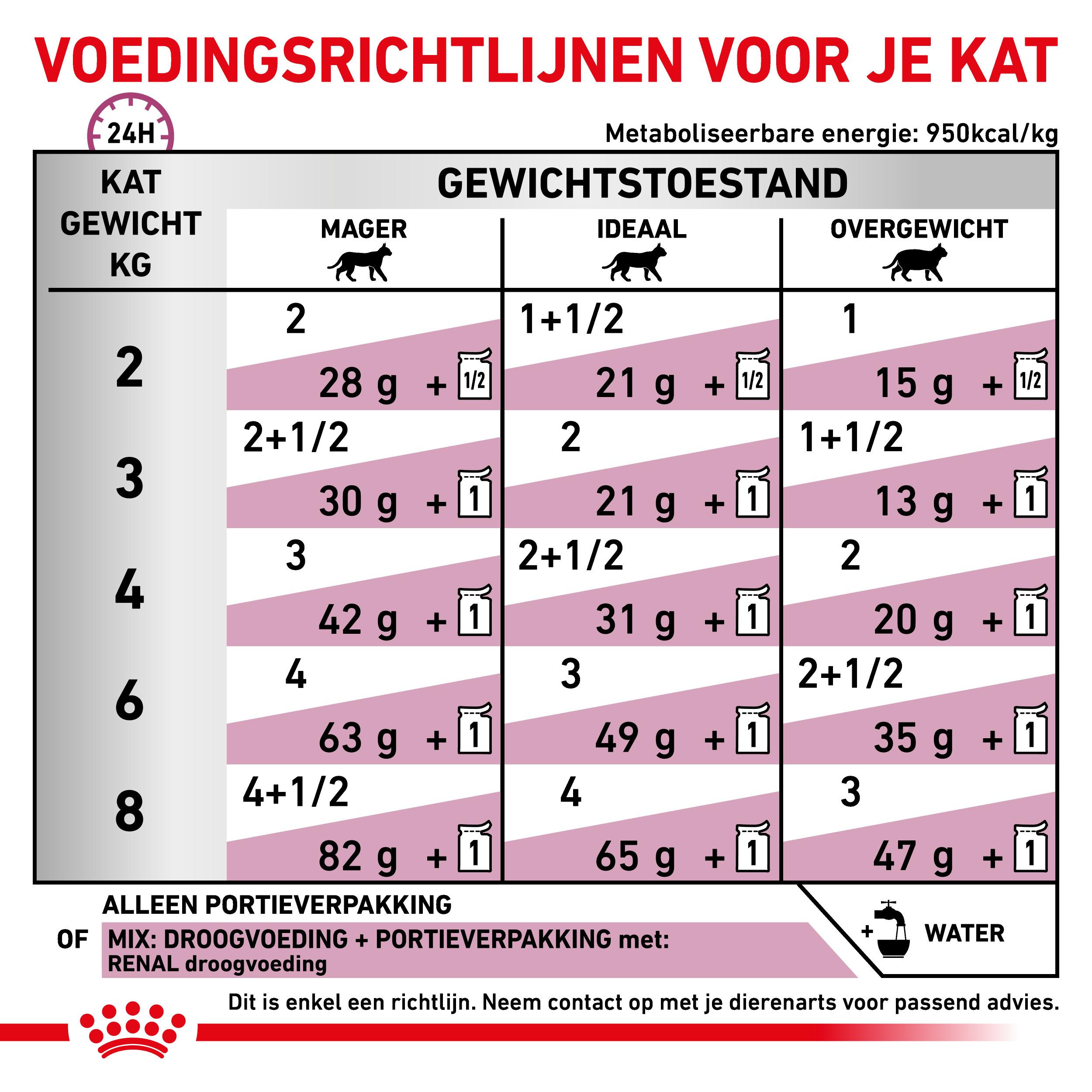 Royal Canin Veterinary Diet Renal fish zakjes kattenvoer