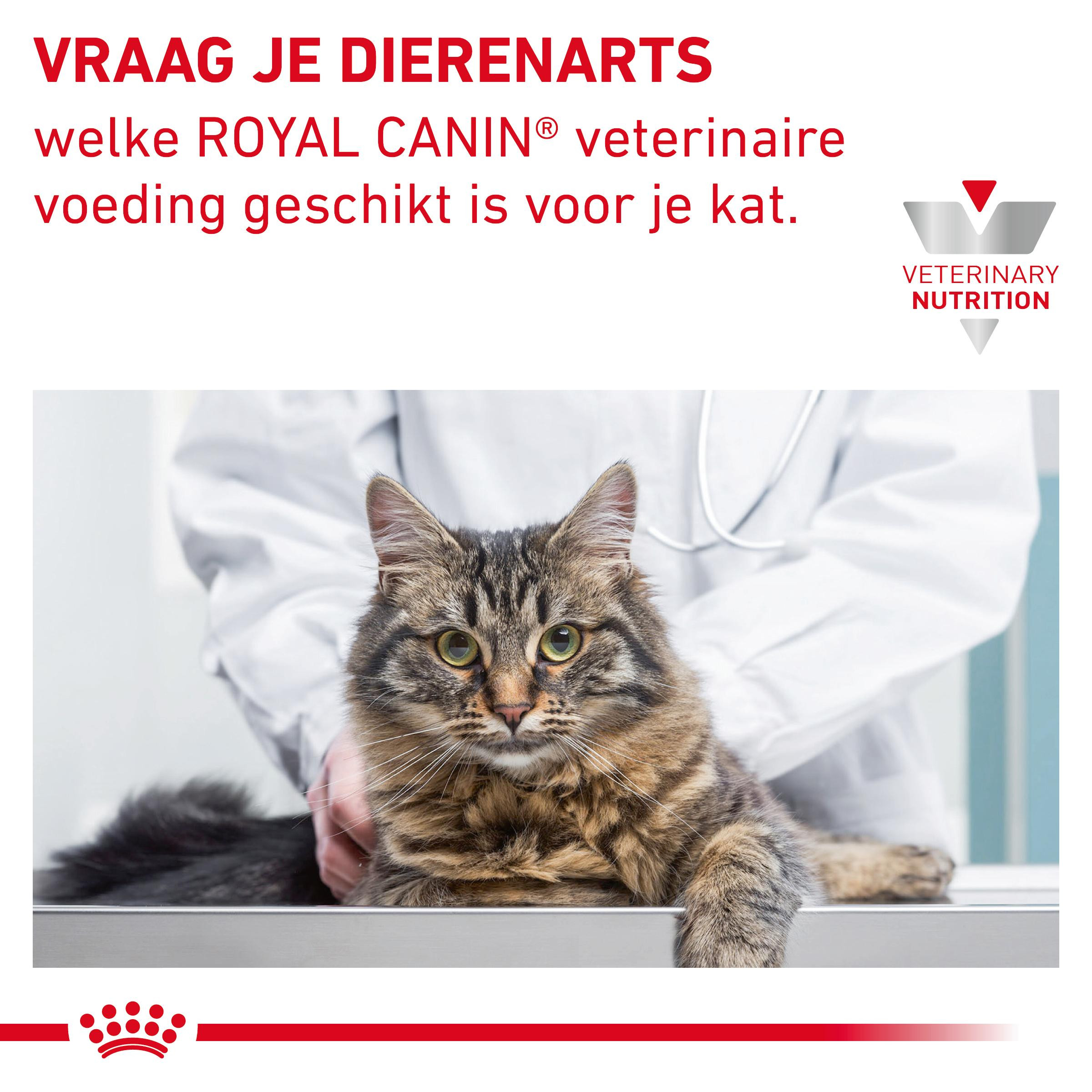 Royal Canin Skin & Coat zakjes kattenvoer