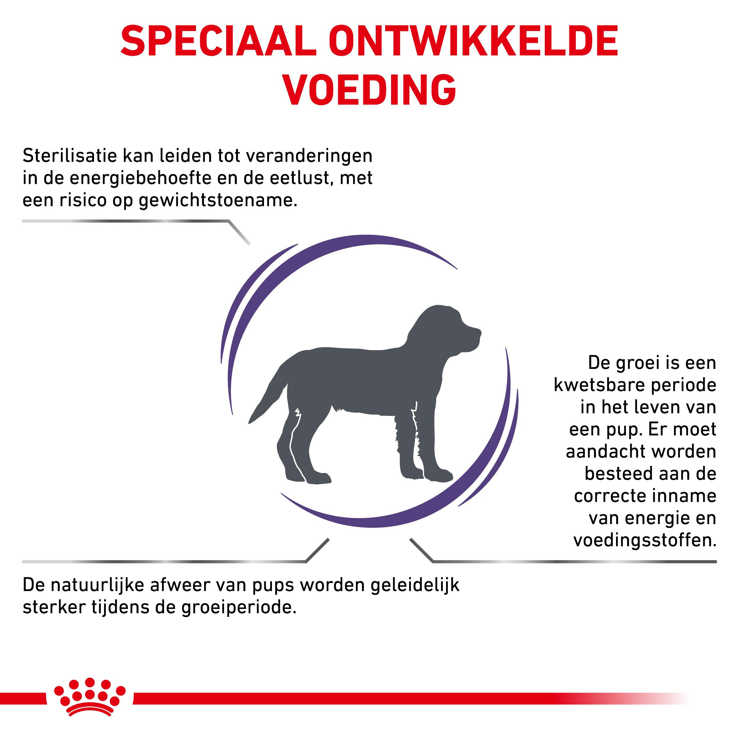 Royal Canin Expert Neutered Junior hondenvoer